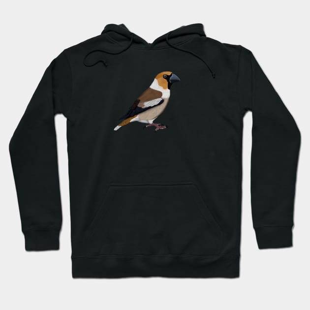 Hawfinch Bird Watching Birding Ornithologist Gift Hoodie by jzbirds